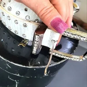 Christine Alexander | Accessories | Christine Alexander Belt 